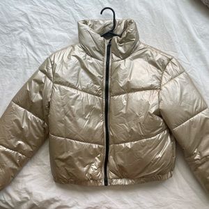 Gold Puffer